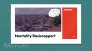 MentalityBasisrapport-Cover