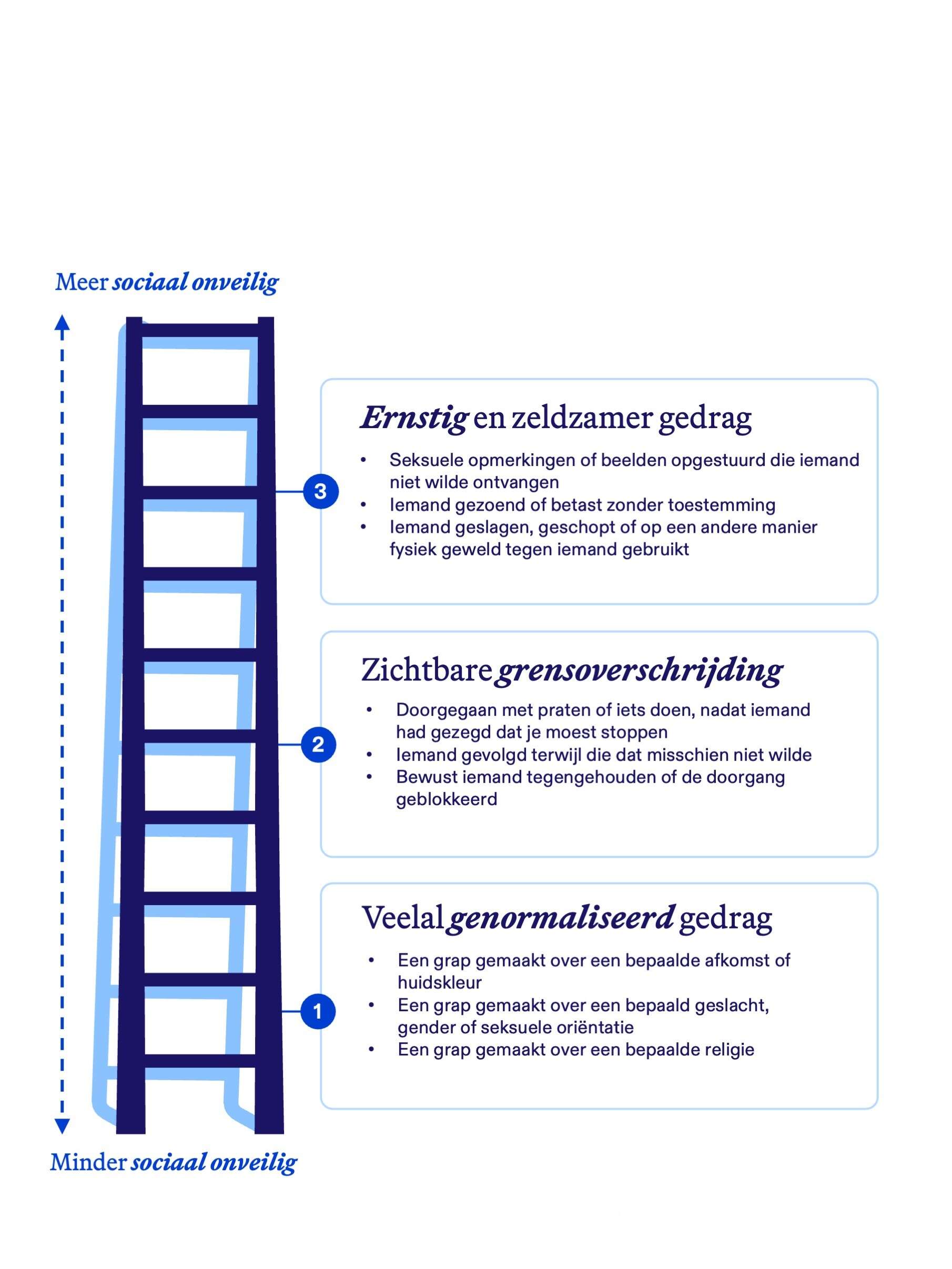 Ladder sociale veiligheid