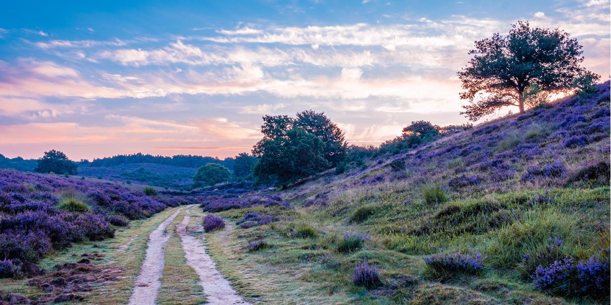 Posbank populairste gebied Gelderland