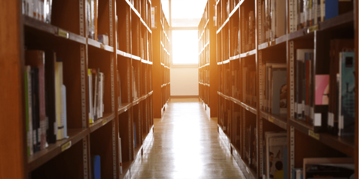 Bibliotheek gebruik nieuwe nederlanders